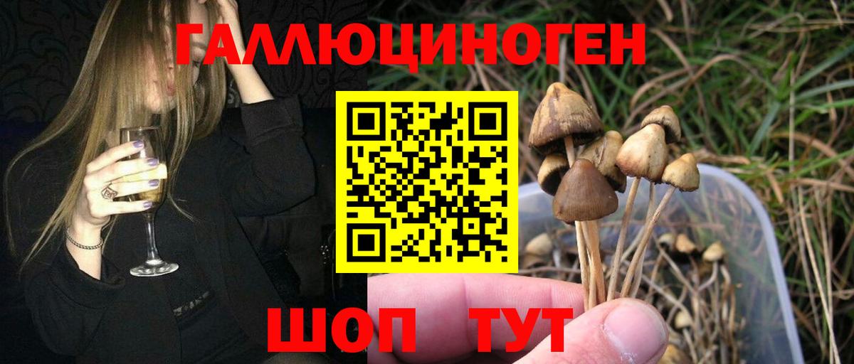 Междуреченск  Псилоцибиновые грибы мухоморы  Псилоцибиновые грибы прущие грибы  Вход с VPN 