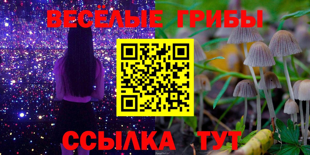 Галлюциногенные грибы прущие грибы Междуреченск