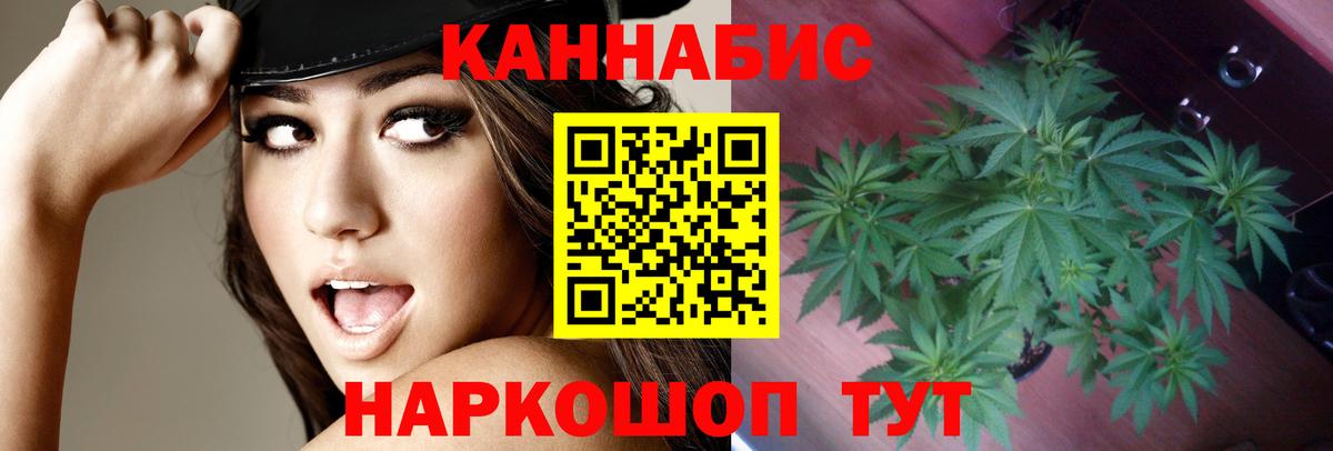 Бошки Шишки MAZAR Междуреченск